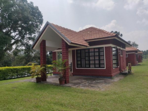 Dubare Inn Coorg